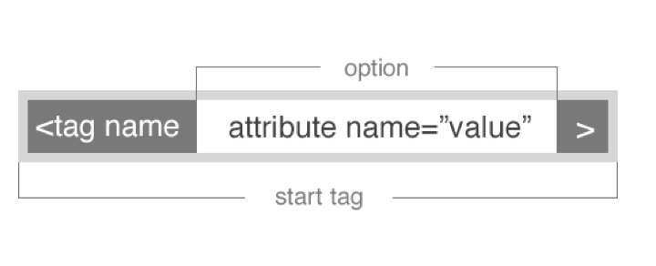 tags_attributes.png